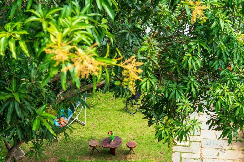 Flora Villa Hội An Buitenkant foto